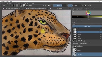 OpenToonz 2D animation - Using Krita to paint the leopard - that will be animated with OpenToonz