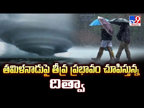 తమిళనాడుపై తీవ్ర ప్రభావం చూపిస్తున్న దిత్వా | Weather Update - TV9 - TV9
