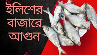 দুই ঘন্টার স্পেশাল বাজার না দেখলে মিস