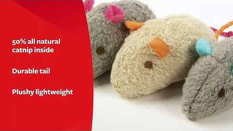 SmartyKat Skitter Critters Catnip Cat Toys Value Pack, 10 Count, Model:9085#shorts