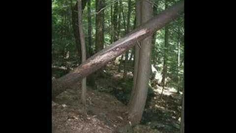 Angles in parallel lines song