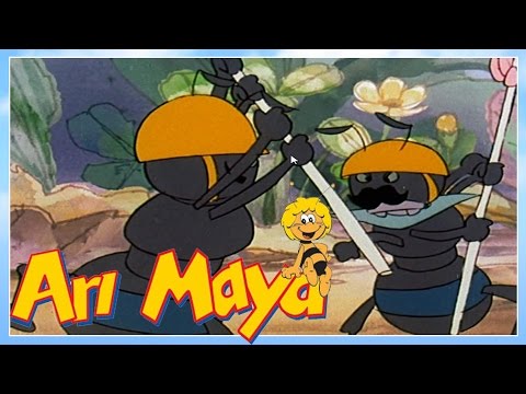 Arı Maya bölüm 40