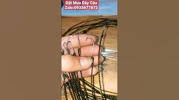 Lưỡi Câu Lươn(Khắc Tinh Rồng Đất) Móng Rồng & Vuốc Rồng