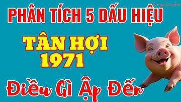 Phân Tích 5 Bí Ẩn Tuổi Tân Hợi 1971 - Giàu Có Và Trường Thọ, Biết Sớm Là Sống Vui Trọn Đời
