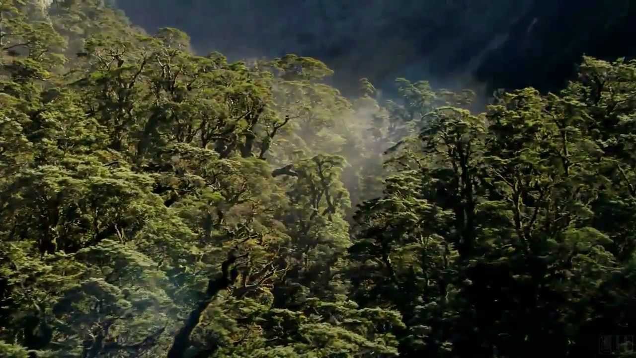 Eric Clapton Knocking On Heaven S Door Youtube