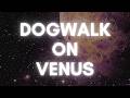 Organic Melodic House | Dogwalk on Venus [Deep Focus Flow] | ShaManiac 2026