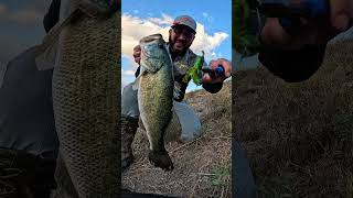 Hooked into a tank on the Rage Tail Rage Hawk, when that bait hits the water, it’s game over.