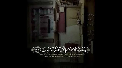 ارح سمعك 🎧 ♥️ تلاوة خاشعة 💛 حالات واتس اب قصيره