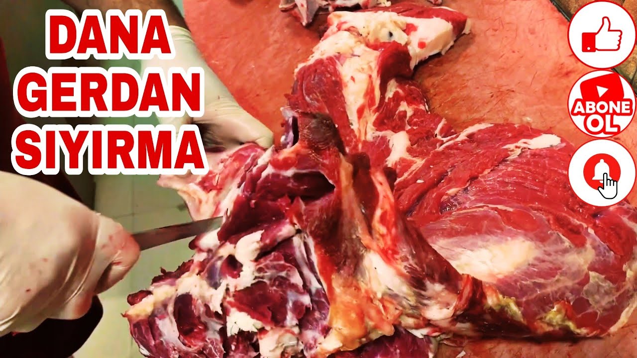 rusların seks videoları sexy porn video