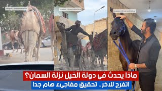 ماذا يحدث فى دولة الخيل نزلة السمان؟ اتفرج للاخر.. تحقيق مفاجىء هام جدا 😲 الجزء الأول