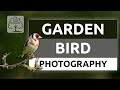 Photographing Garden Birds from my Home Made Bird Hide