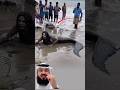 حورية بحر حقيقية على أحد الشواطئ صدمة الجميع اكسبلور   