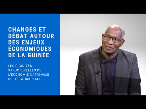 UDRG: Échanges et débat autour des enjeux économiques de la Guinée UDRG: Échanges et débat autour des enjeux économiques de la Guinée