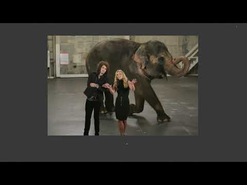 Britney Spears - Circus (Deep Voice)