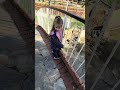 Maya gölü bulduk😱#aboneolurmusun #youtubeshorts #viral #keşfet #umaykidz