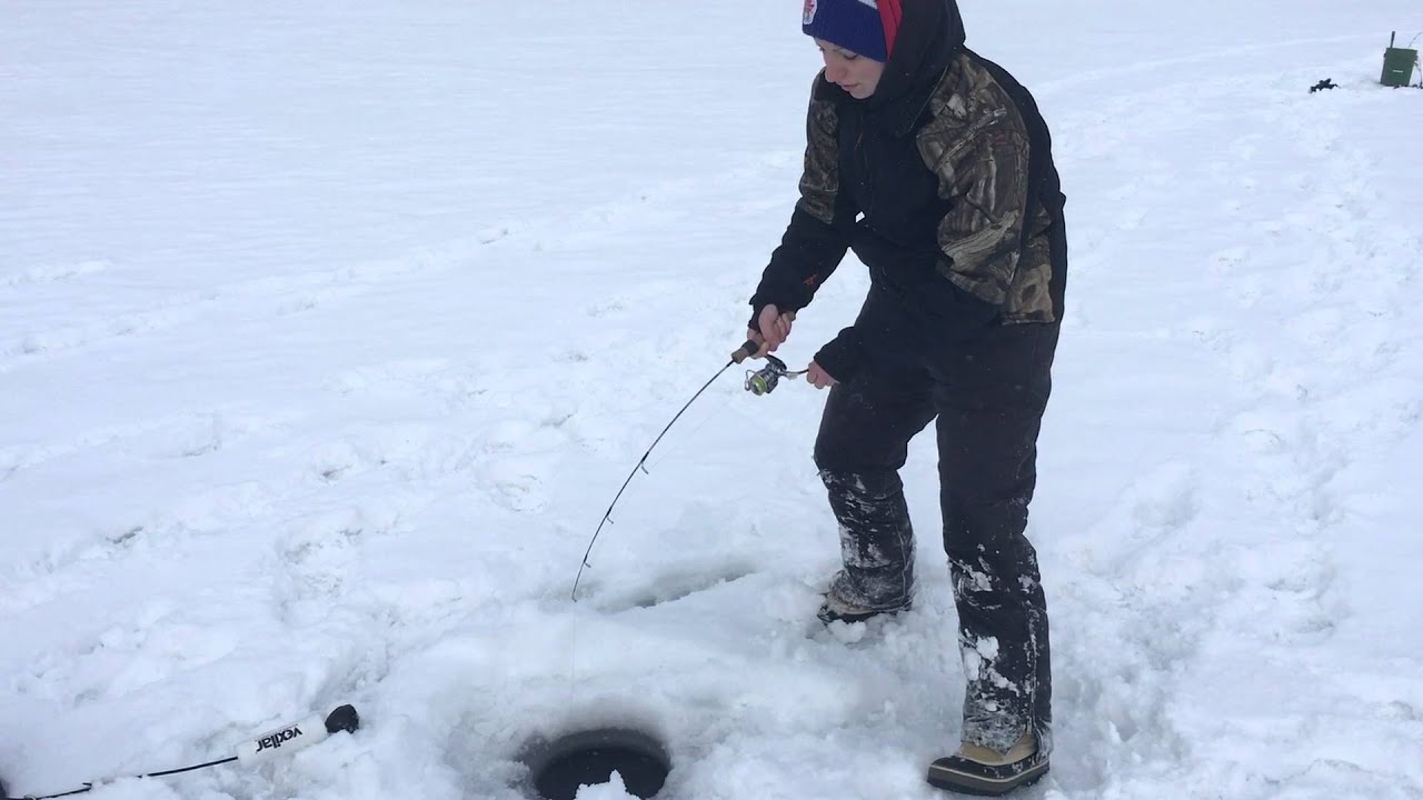 Bull Trout Mountain Ice Fishing YouTube