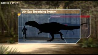 Breathing Techniques - Planet Dinosaur - Episode 1 - BBC One