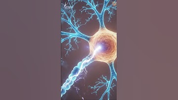 The Neuron: A Bio-Transistor | Intro to Neuromorphic Computing