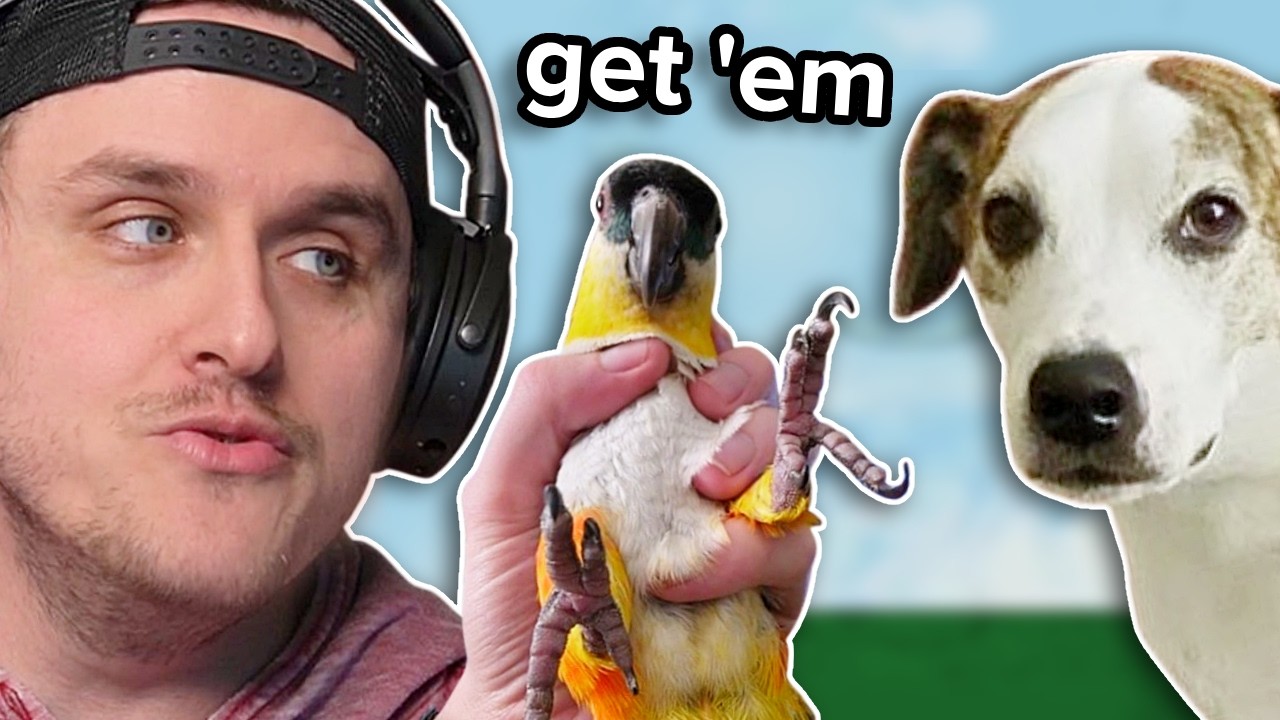 I Made YOUR Pets FIGHT!