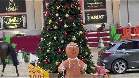 Cherry Blossom PM Z (2018 Calvaro) clear & 7th in CSIYH 7YO - Peelbergen