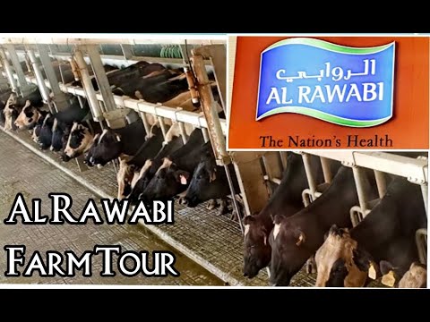 al rawabi farm tour