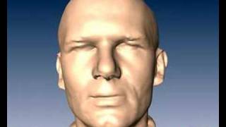 Orbicularis Oris
