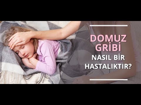Domuz Gribi Nasıl Bir Hastalıktır? - Prof. Dr. Ahmet Akçay