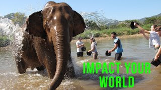 Reach Out - Elephants, Temples and Village School Project!