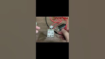 Relay bán dẫn SSR