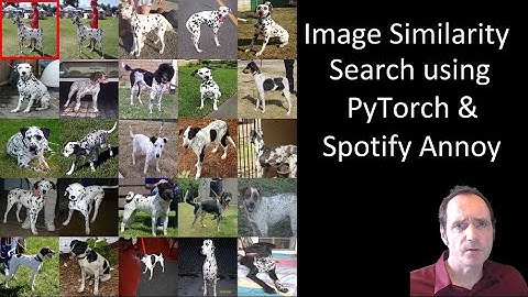 Image Similarity Search using PyTorch & Spotify Annoy