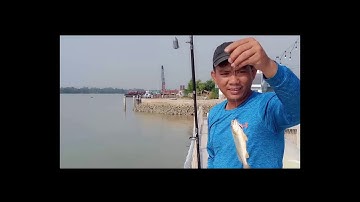 Lên Cá Đù, Cá Ngát,Tôm Càng Ở Sông Soài Rạp || ĐI Mồi Tép