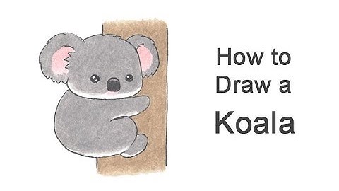 How to Draw a Koala (Cartoon)