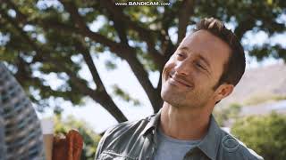 Steve McGarrett - Main attraction