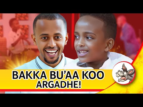 Bara 2010 irraa jalqabeen hojiiwwan koomeedi kee ilaalu jalqabee #Azaariyaa #ijoolleeqaxalee