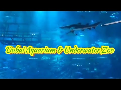 A small trip to Dubai Aquarium & Underwater zoo