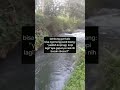 kopi dan mancing adalah kita #mancingliar #mancingmania #shorts #kopi #mancing
