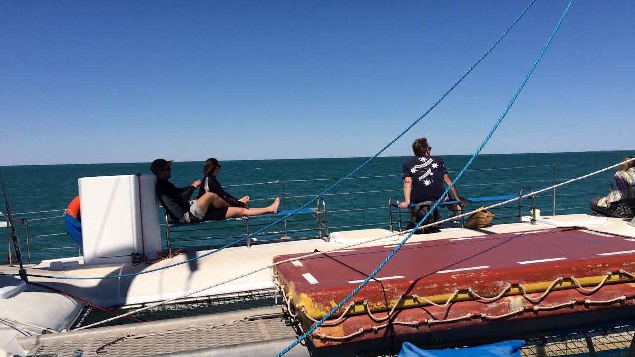 monkey mia catamaran trips