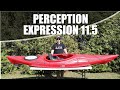 Perception Expression 11.5