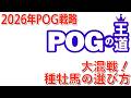 【POGの王道】POGドラフト直前情報「種牡馬編」昨年、ドレフォンとポエティックフレア産駒を推奨!