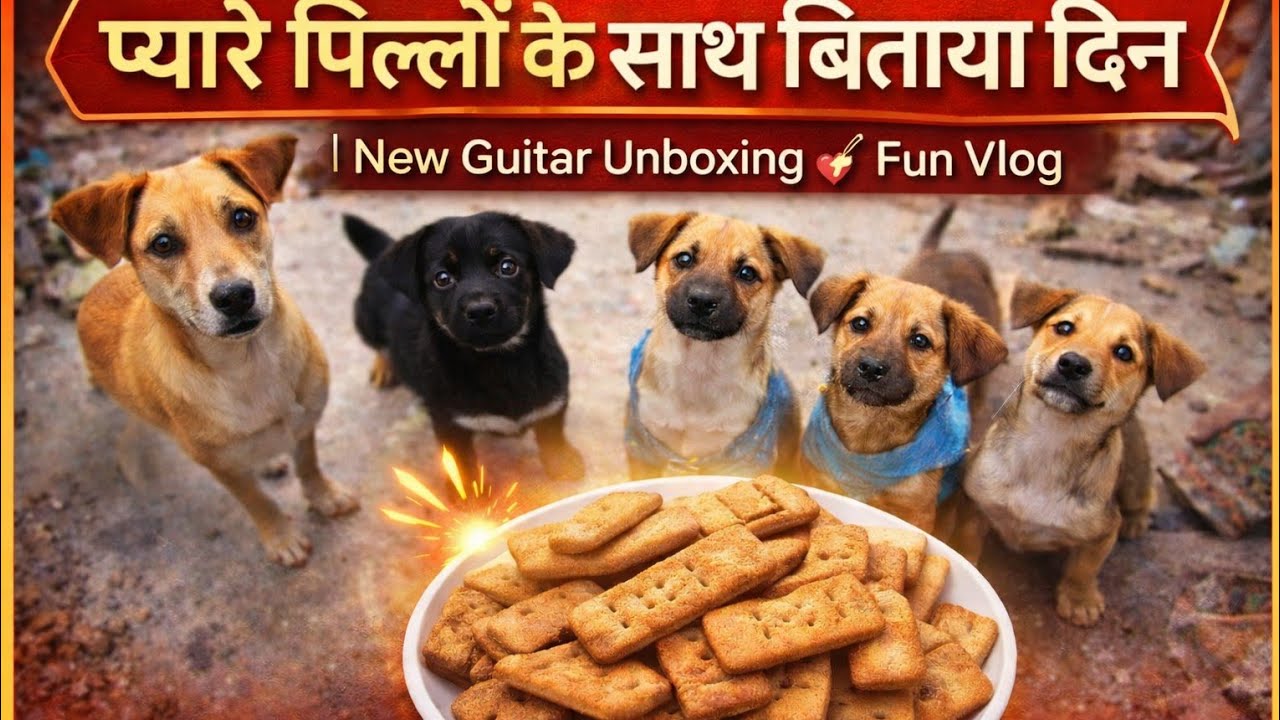 पिल्लों के साथ बिताया प्यारा समय 🐕. ❤️ | New Guitar Unboxing 🎸आज का दिन खास रहा 🐶🎸