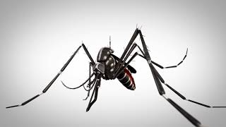 LDH Mosquitoes 15 Second Public Service Announcement