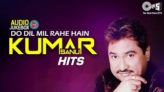 Do Dil Mil Rahe Hain | Kumar Sanu Hits | Audio Jukebox | 90's Bollywood Songs | Full Songs Non Stop