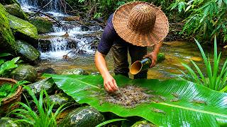 Catching Fresh River Shrimp And Fish In The Deep Rainforest Survival
