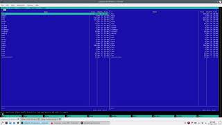The Gods Must Be Crazy: FreeBSD Debian linux jail + vnet + IPv6 + remote access via ssh