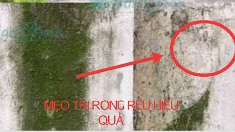 Rong Xi Photo 5