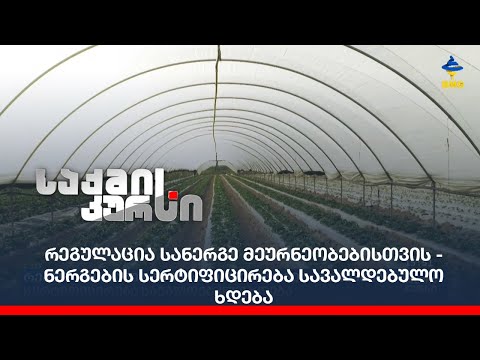 რეგულაცია სანერგე მეურნეობებისთვის - ნერგების სერტიფიცირება სავალდებულო ხდება