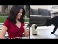 Kami Y32 Indoor Smart Dome Dual Band WiFi Full HD PTZ 360º Rotation Security Camera Home/Pets/Baby : video thumbnail 1