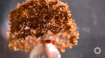 PENTAX K-1 DSLR : Adorama Exclusive