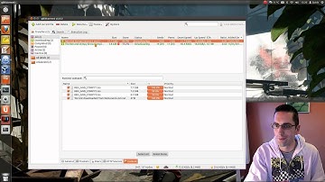 qBitTorrent - Review of Torrent Client for Linux / FreeBSD / Mac / Windows