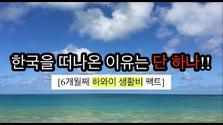 벌써 6개월째 [하와이 생활비 팩트] - 한국 떠나온 이유는 단 하나!!